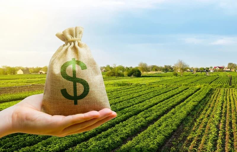 Why Land Prices in Ukraine Are Rising: 3 Reasons for the Increase
