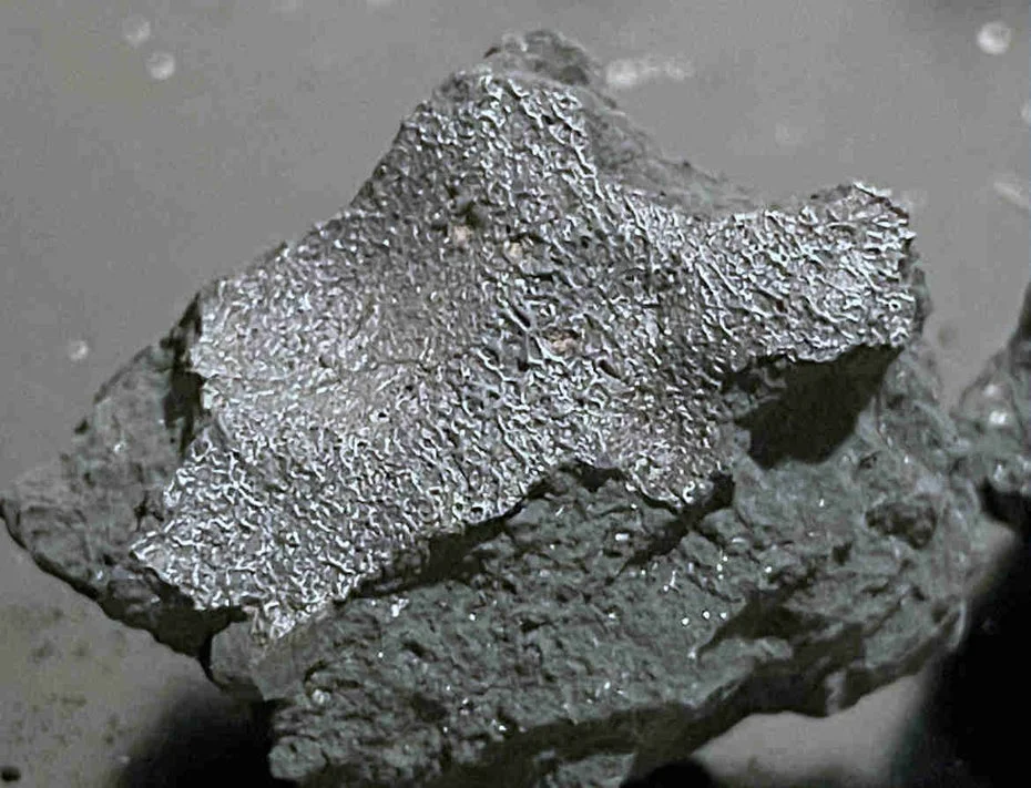 Hillsborough Meteorite: A Cosmic Discovery of Life's Building Blocks