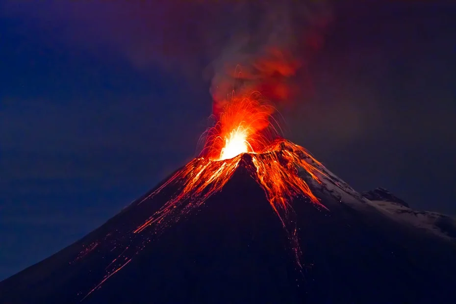 Understanding the Great Dying: Insights from Ancient Marine Extinction