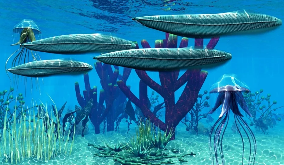 The Role of Feces in the Cambrian Explosion: A New Perspective